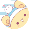 美逛明星团队——艾斯团队